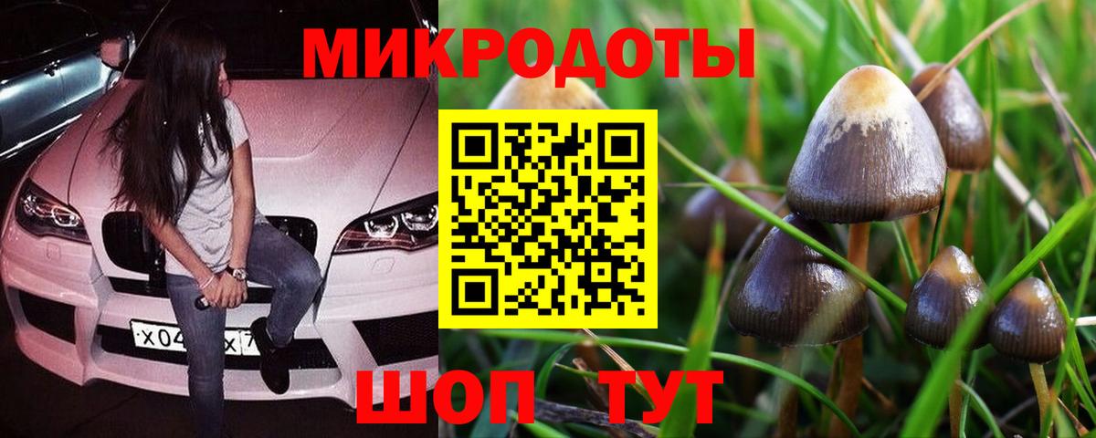 Псилоцибиновые грибы MAGIC MUSHROOMS Моздок