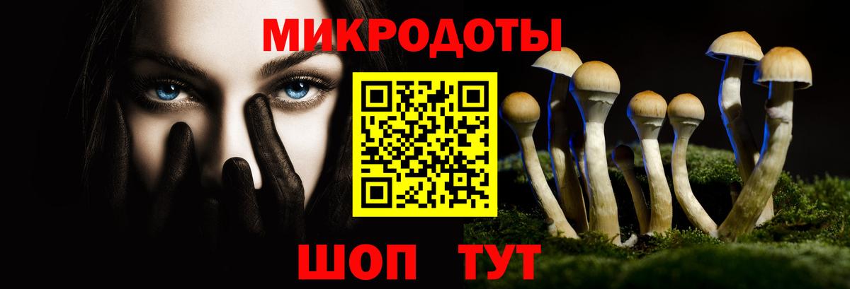 Моздок  Псилоцибиновые грибы Psilocybe  Вход с VPN  Галлюциногенные грибы ЛСД 